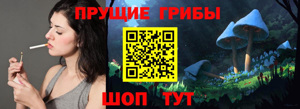 цены   Вход с VPN  Нововоронеж  Псилоцибиновые грибы MAGIC MUSHROOMS 